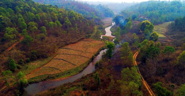 Shyntor Festival Northeast Excellence Award 2025